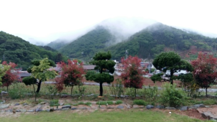 오전집 이미지