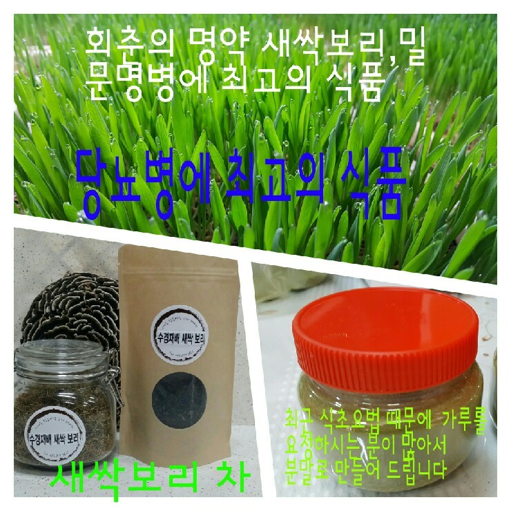 보리통신 이미지