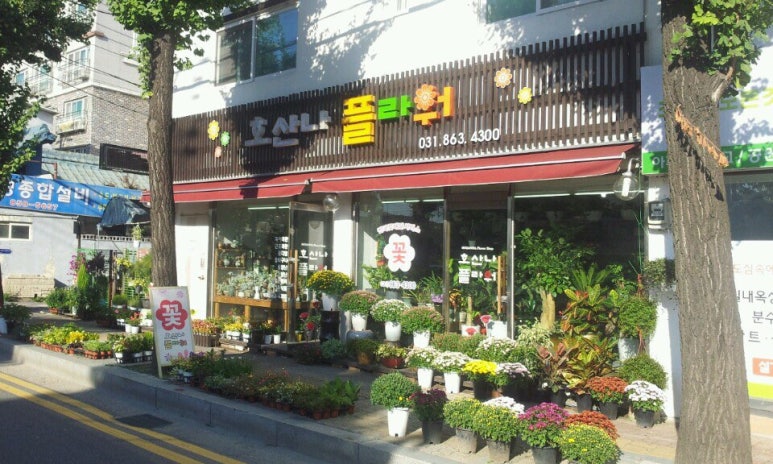 호산나플라워 이미지