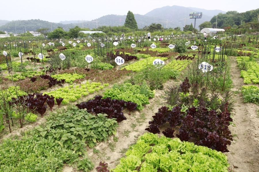 (주)자연농장 이미지