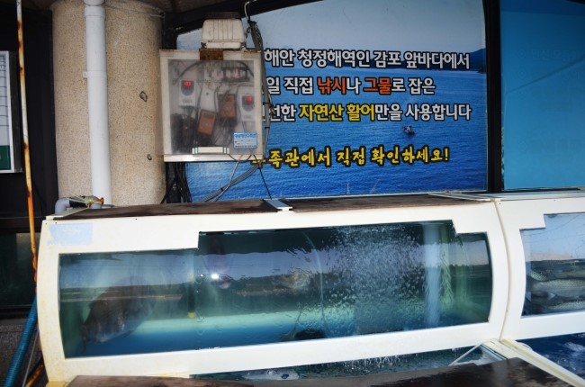 감포횟집 이미지
