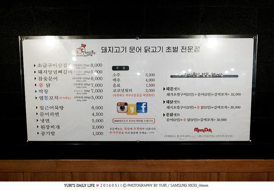 돼지문닭 이미지