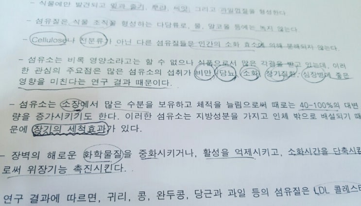 펀더멘탈무브먼트 이미지