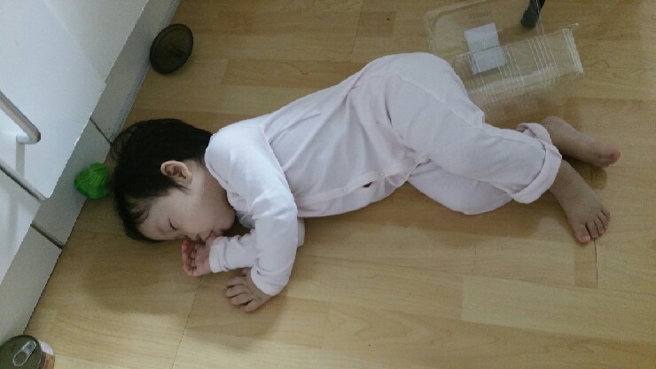랄라홍 이미지