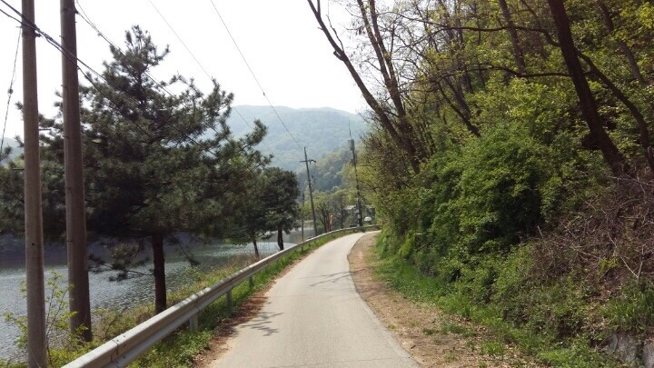 비학농원 캠핑장 이미지