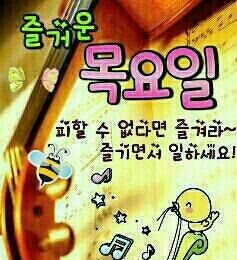 핑크벨라 이미지