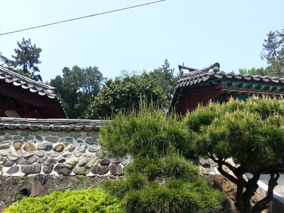 오뉴 이미지