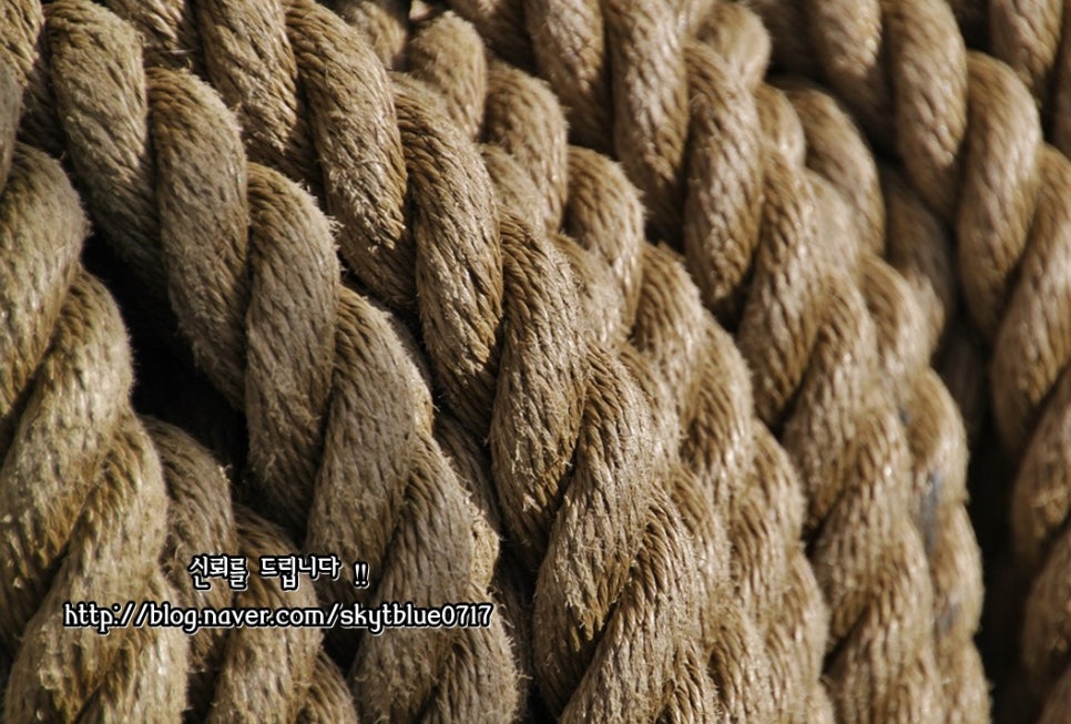 에스에스엠주 이미지