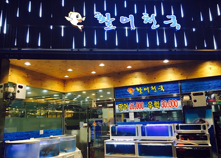 짱활어 이미지