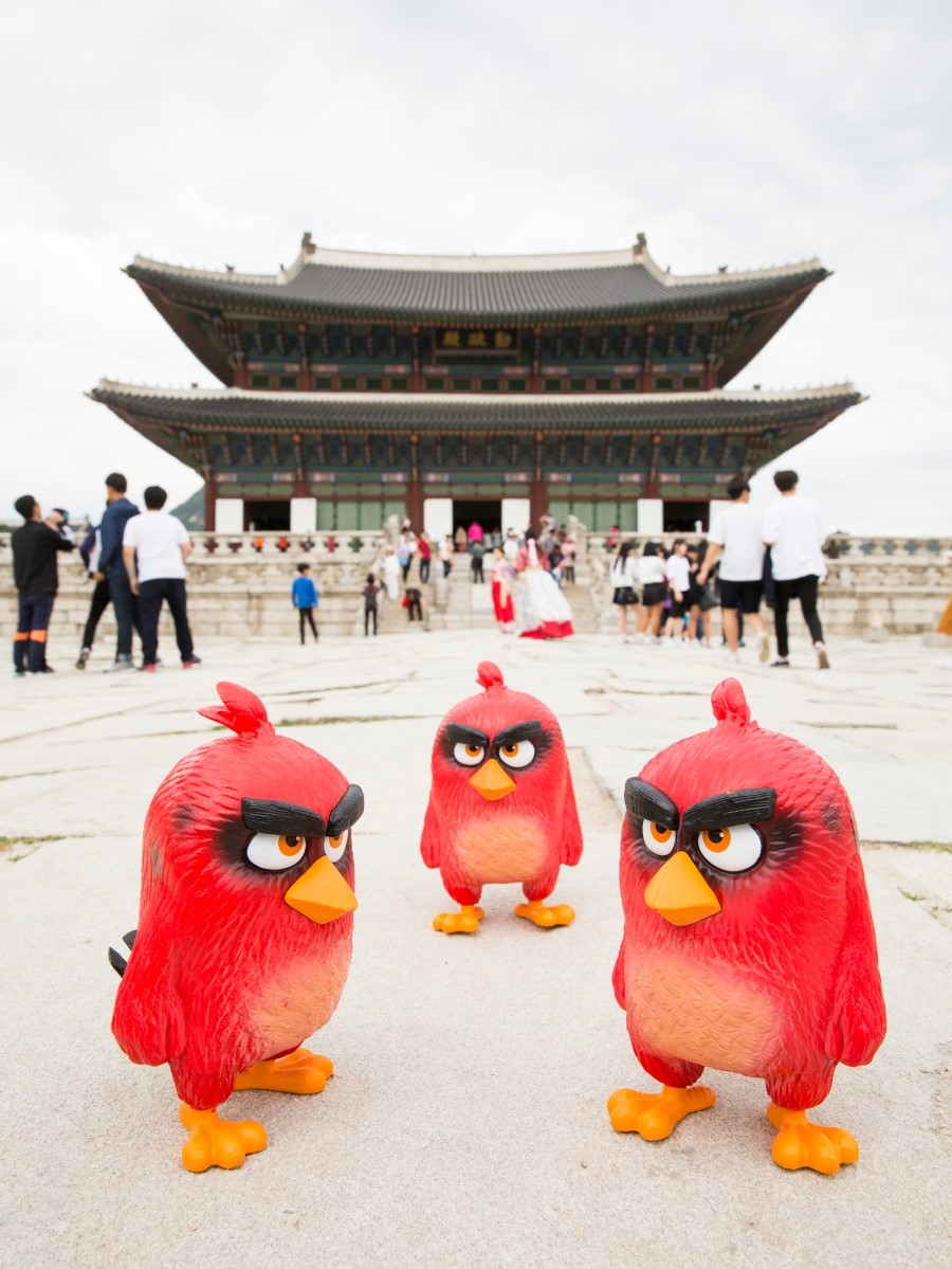 레드무비 이미지