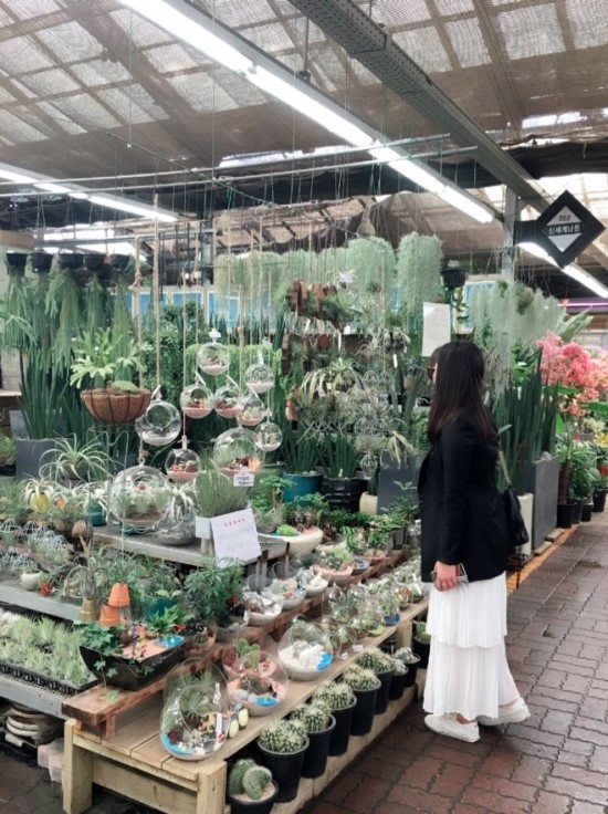 강남공판장 이미지