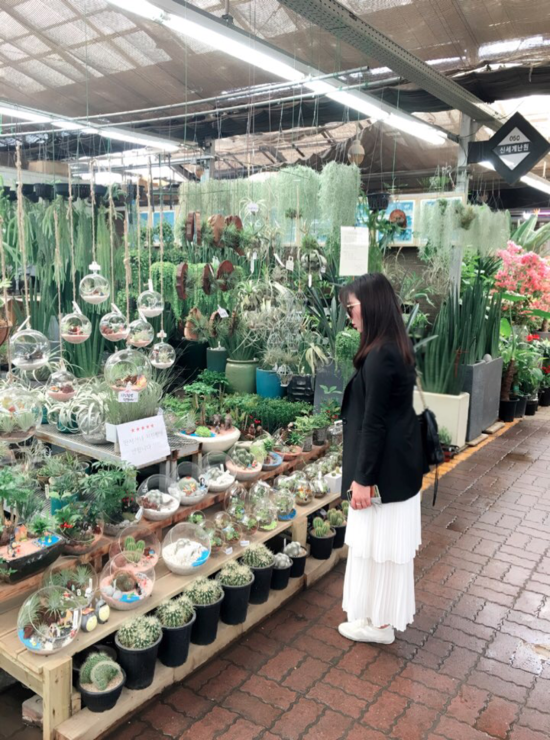 강남공판장 이미지