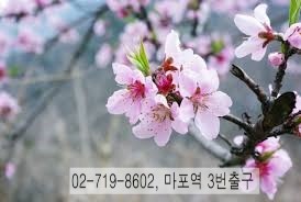 낭자김 이미지