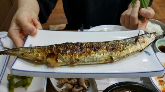 울산정자참가자미 이미지