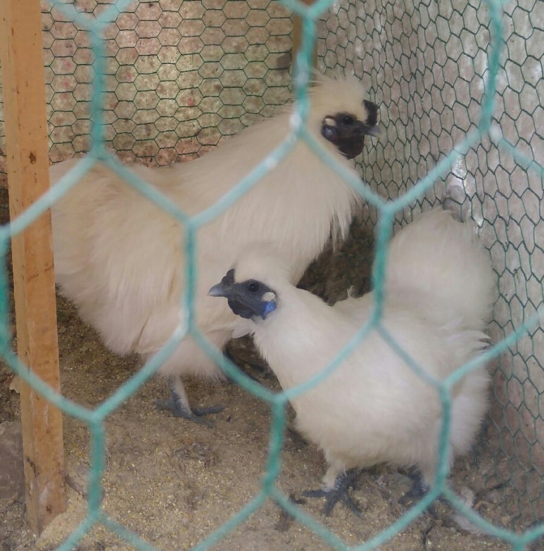 오솔길농원 이미지