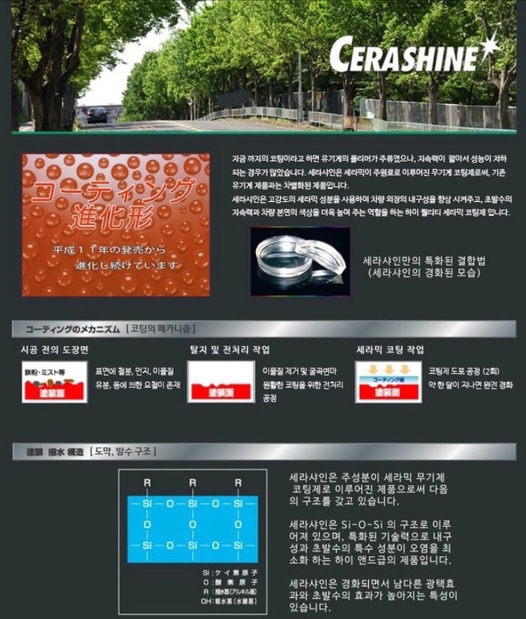 세라샤인 이미지