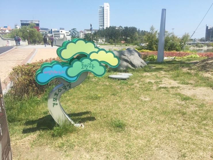강릉솔향도시락 이미지