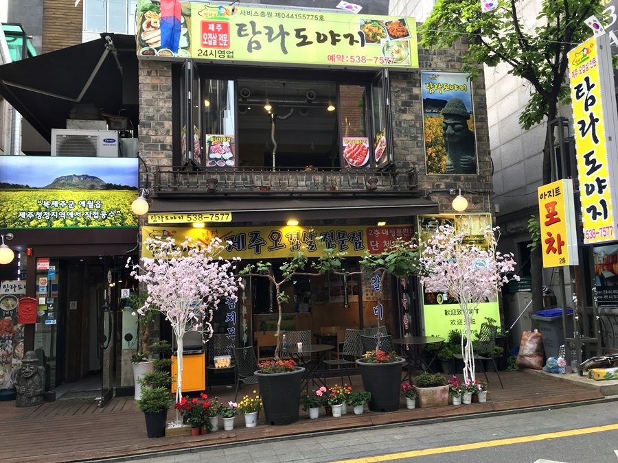탐라도야지 이미지