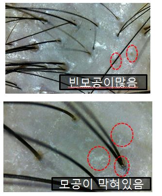 이화미용실 이미지