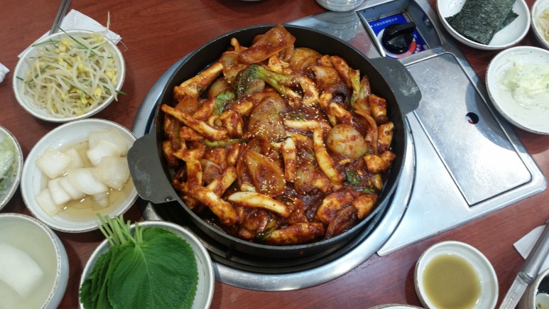 조가네갑오징어 이미지