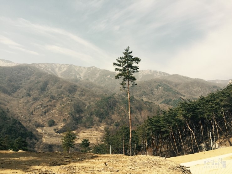 바른건축연구소 이미지