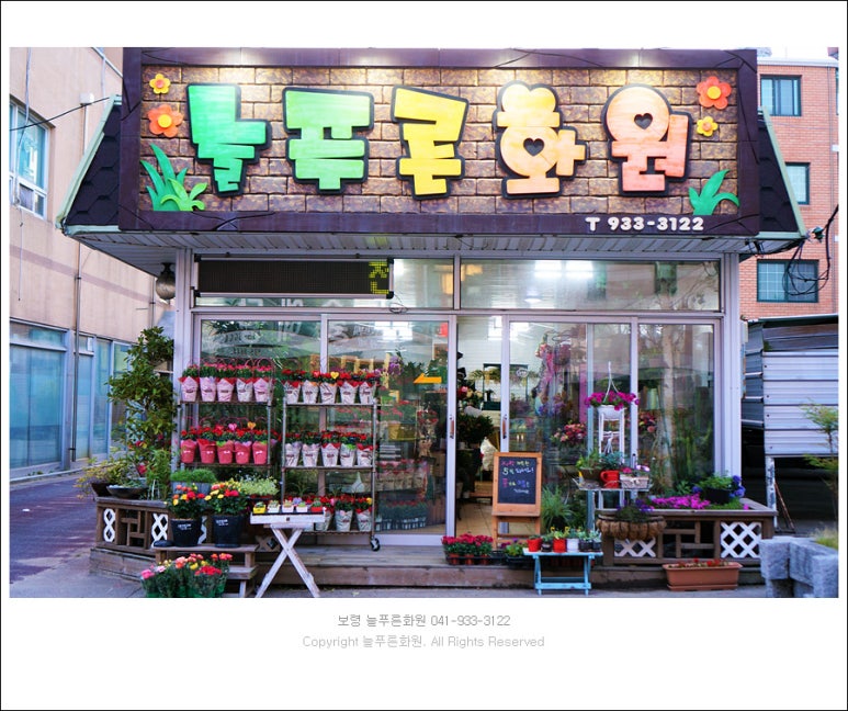 늘푸른화원 이미지