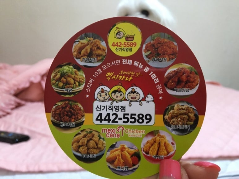 맥시카나치킨신기점 이미지