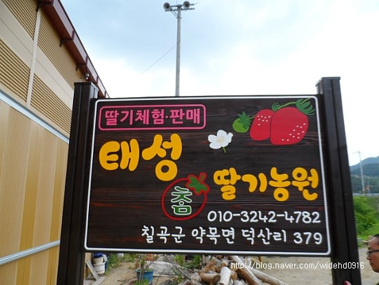 태성참딸기농원 이미지