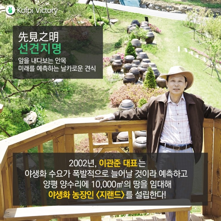지랜드 이미지