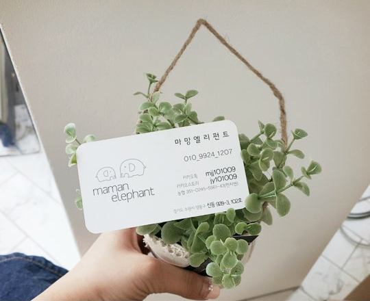 마망엘리펀트 이미지