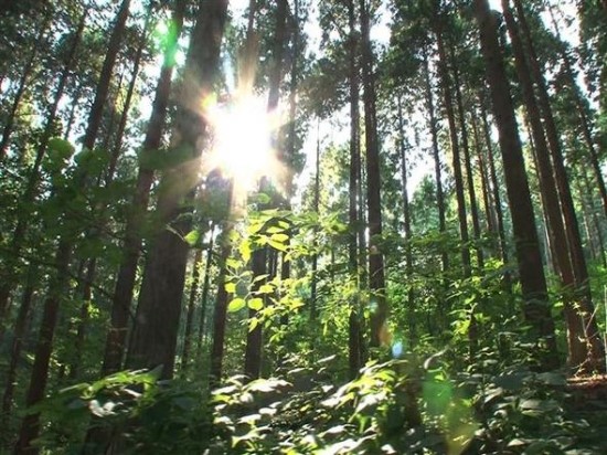 (주)한화엘리베이터 이미지