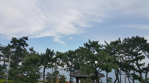 신평떡방앗간 이미지