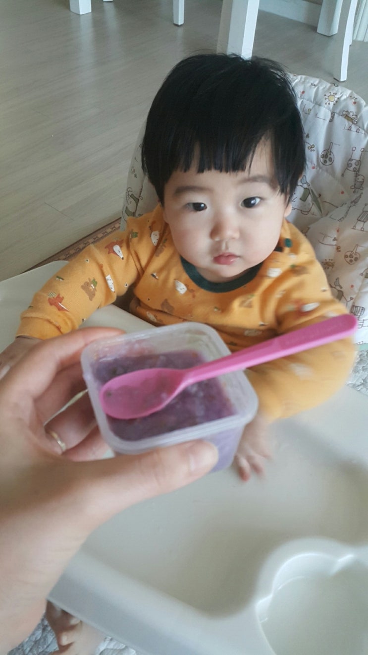 꿈비교육 이미지