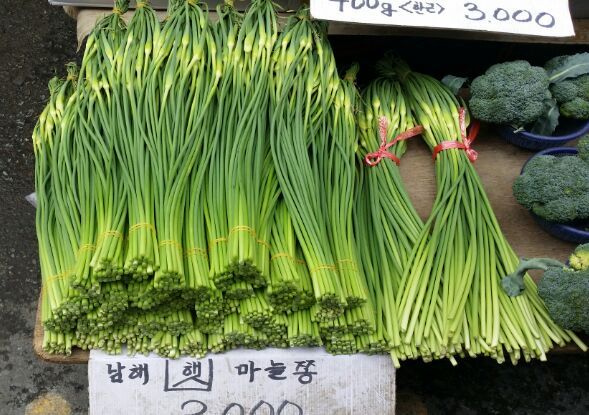 엄마반찬사주세요 이미지