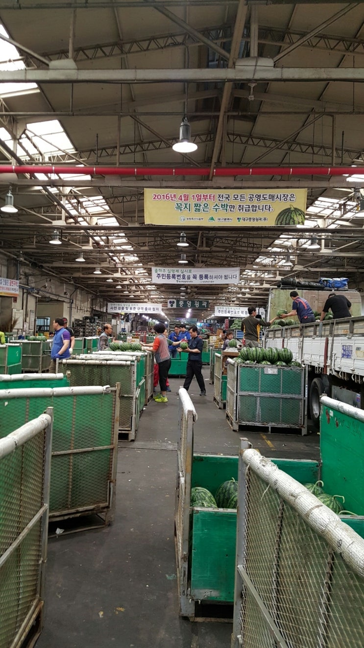 오늘의청과 이미지