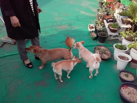 머스마신발 이미지