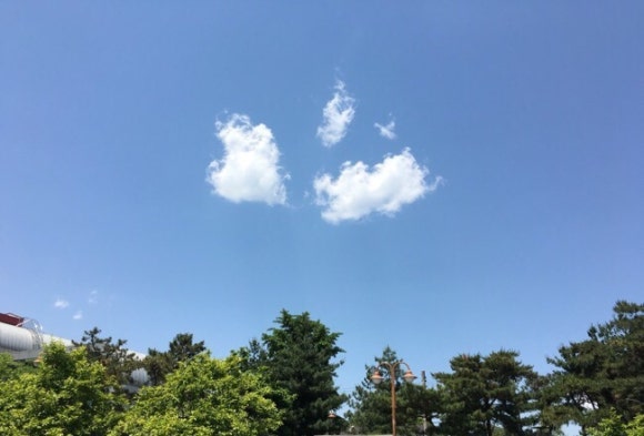 하남장돼지 이미지