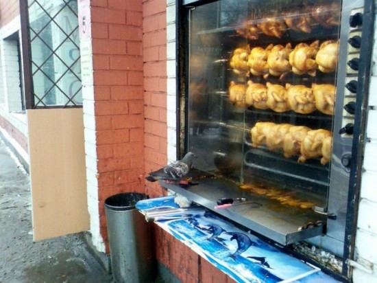 엽기닭꼬치 이미지