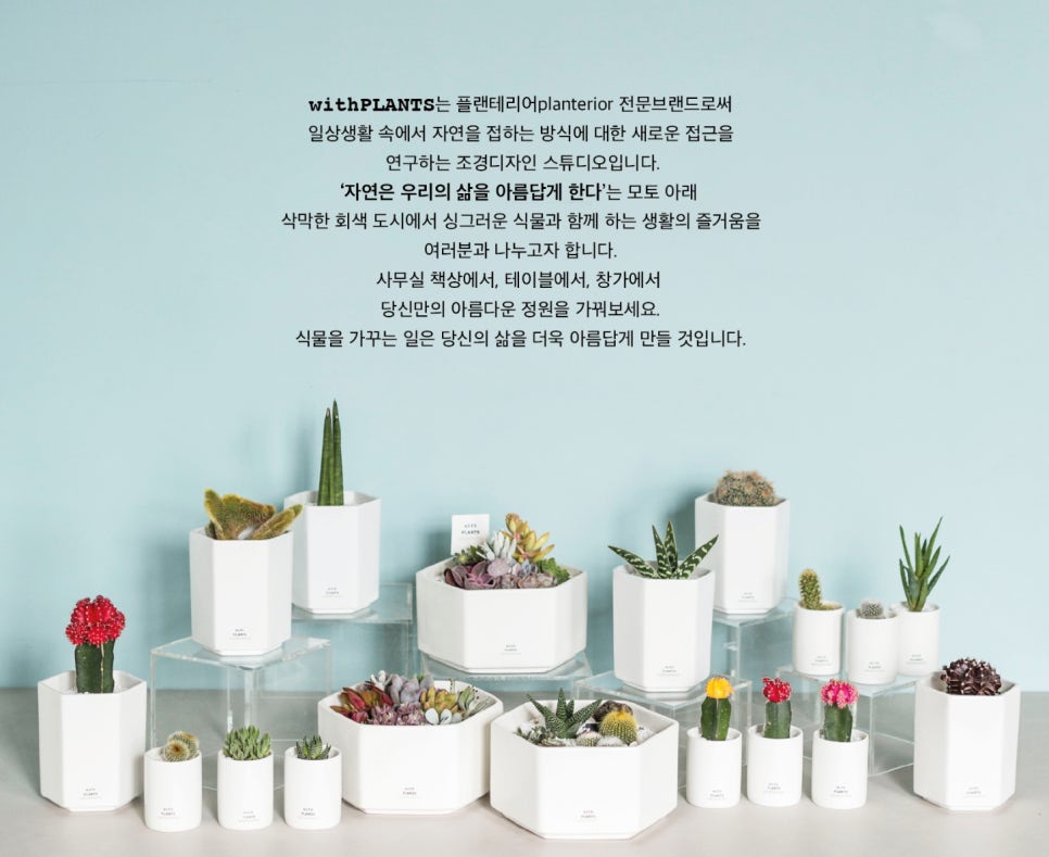 위드플랜츠 이미지