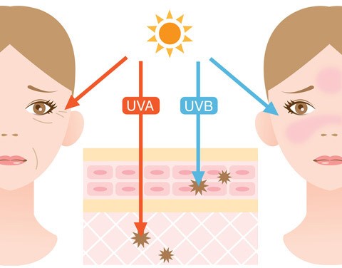 자외선 지수의 정의와 종류, 자외선차단지수(SPF,PA) : 네이버 블로그 자외선 지수의 정의와 종류, 자외선차단지수(Spf,Pa) : 네이버 블로그