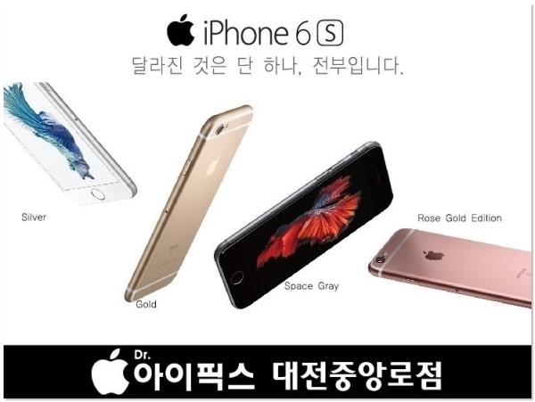 고퀄수리 이미지