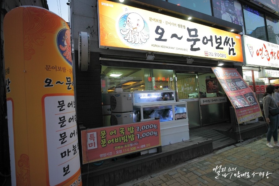 오가문어 이미지