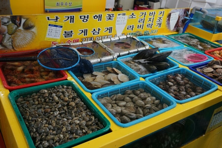 공원회센타 이미지