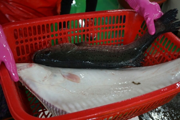 공원회센타 이미지