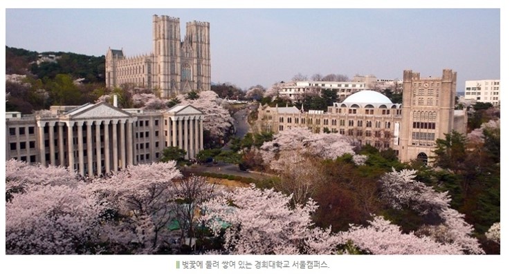 경희관광여행사 이미지