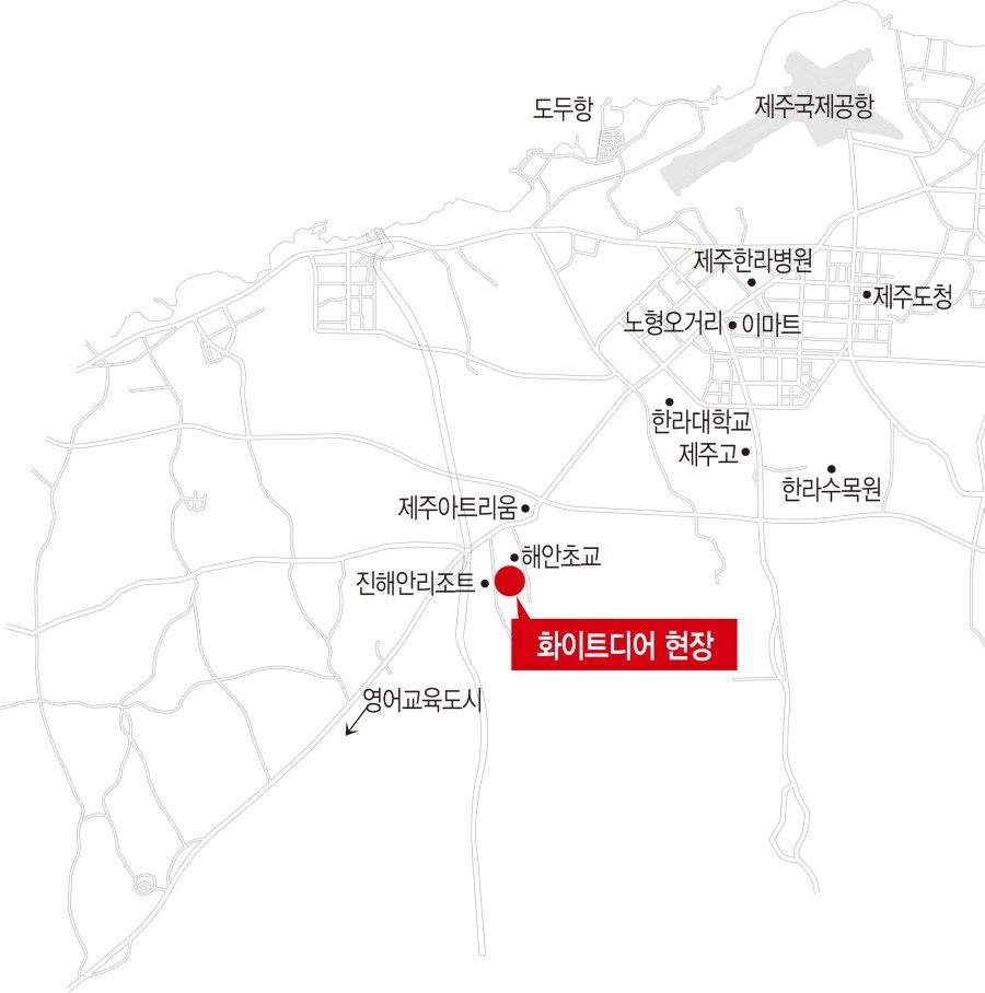 화이트미디어 이미지