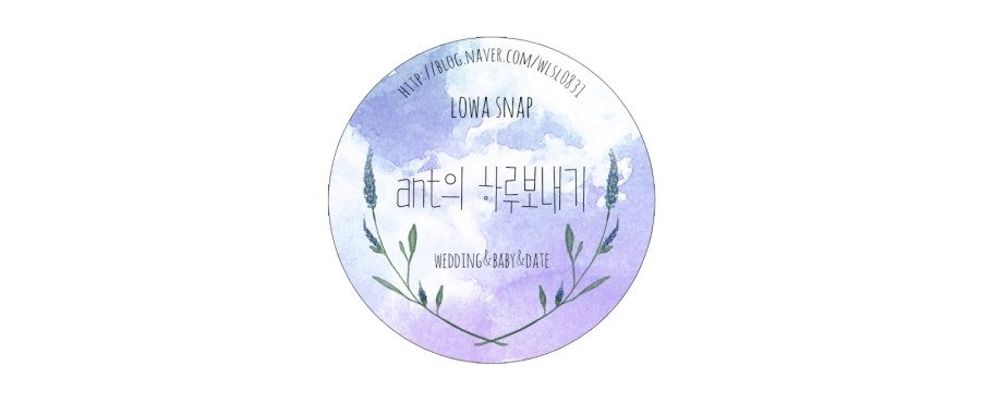 성혼폐백 이미지