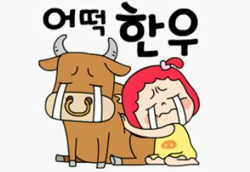 챠오벨라 이미지