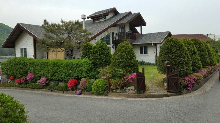 제일초등학교 이미지