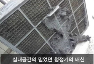 크린보이 이미지